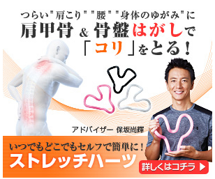 ストレッチハーツ ドンキ